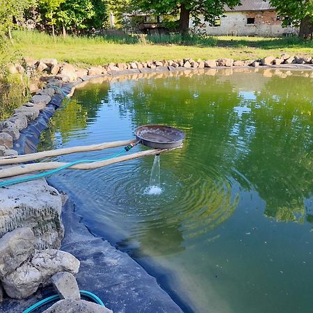 Appartamento Dvur Dolenec Rohoznice  Esterno foto