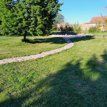 Appartamento Dvur Dolenec Rohoznice  Esterno foto