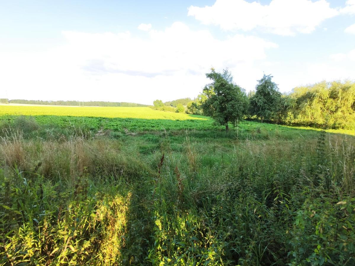 Appartamento Dvur Dolenec Rohoznice  Esterno foto