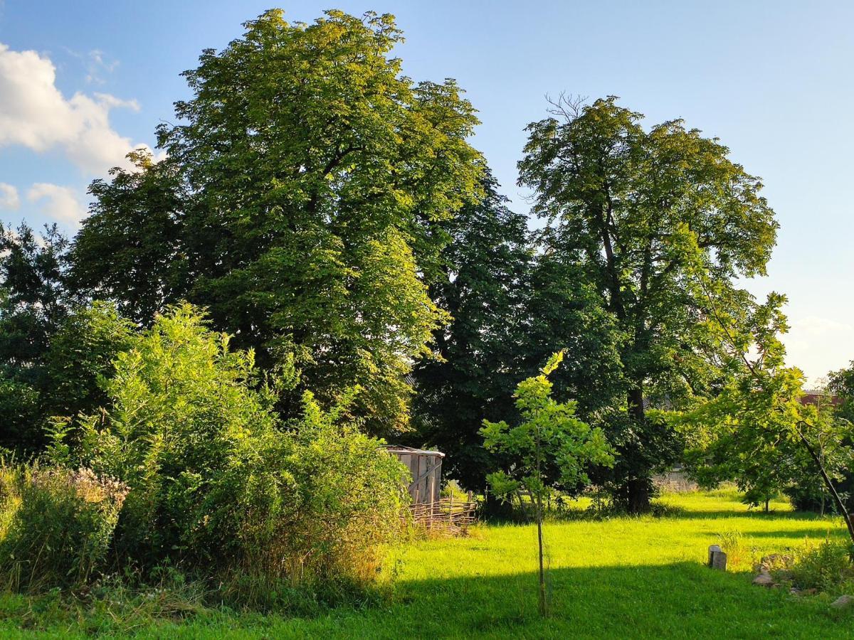 Appartamento Dvur Dolenec Rohoznice  Esterno foto