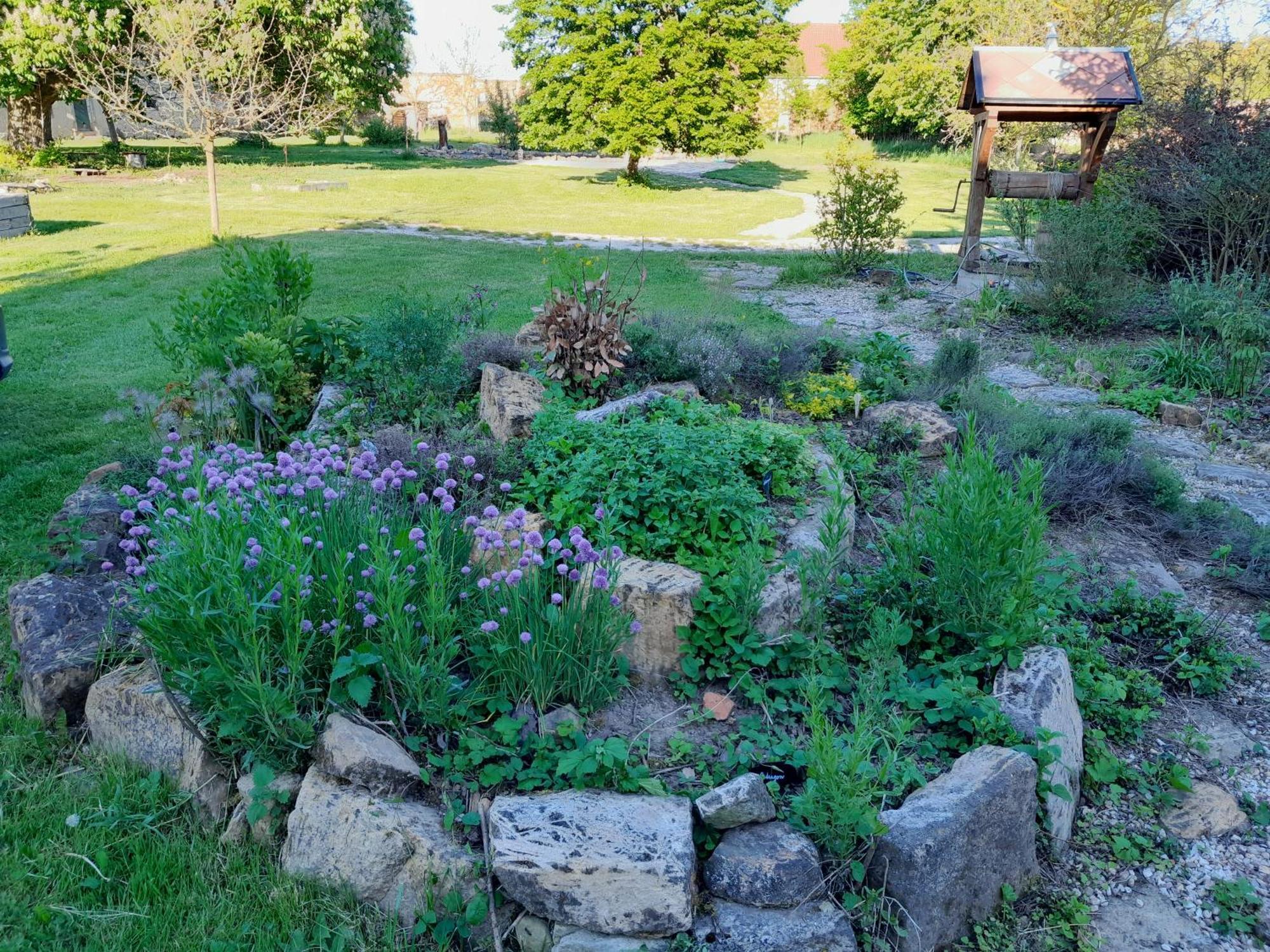 Appartamento Dvur Dolenec Rohoznice  Esterno foto